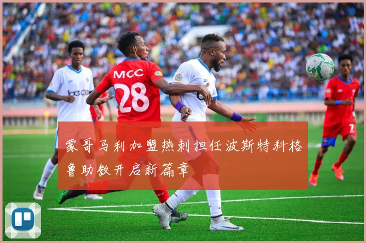 蒙哥马利加盟热刺担任波斯特科格鲁助教开启新篇章